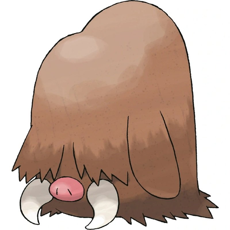 piloswine 24