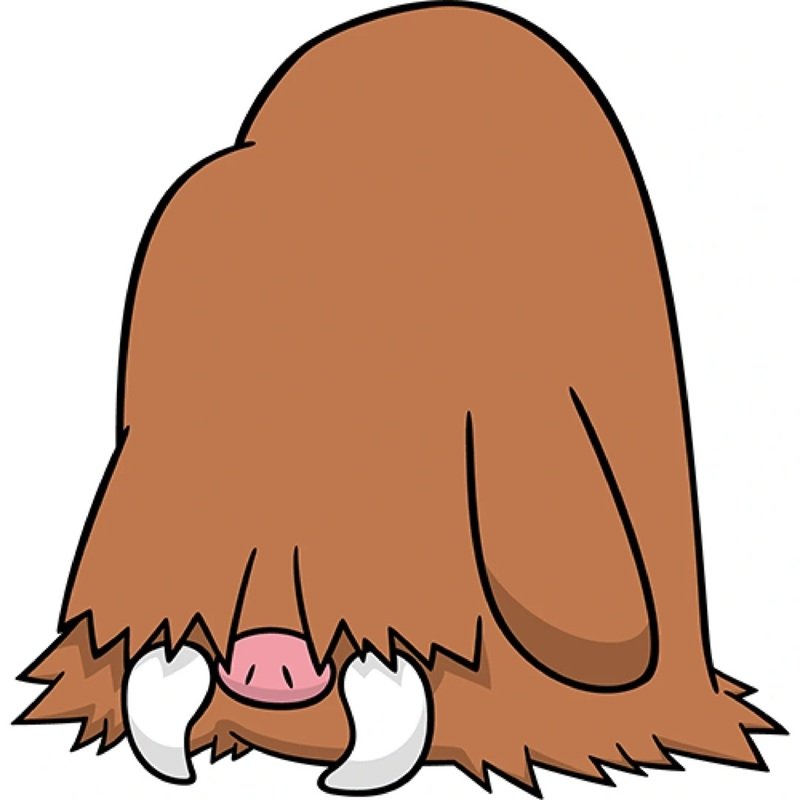 piloswine 26