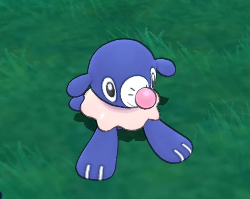 popplio 26