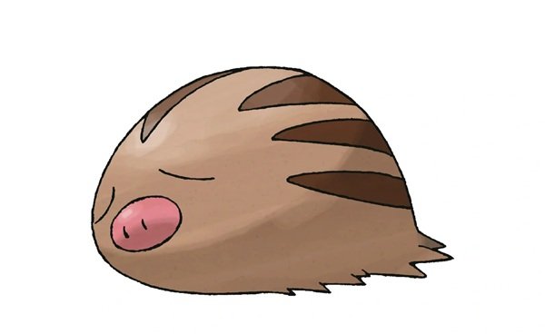 Hình ảnh Swinub – Pokémon lông xù nhỏ bé swinub 28