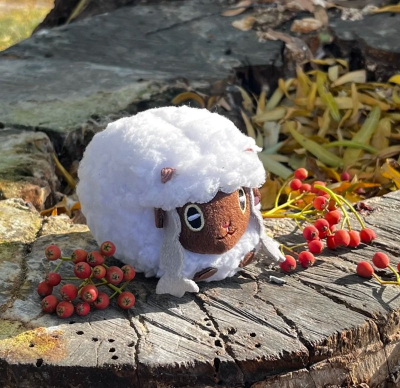 wooloo 16
