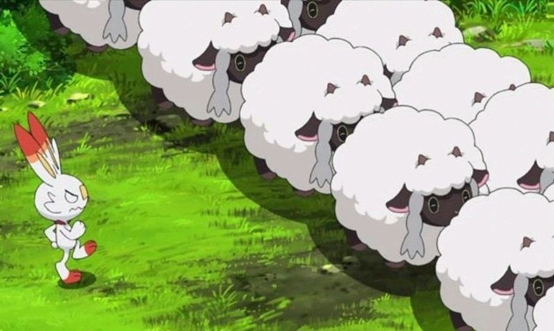 wooloo 5